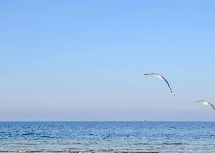 Apartamento Amazing In *