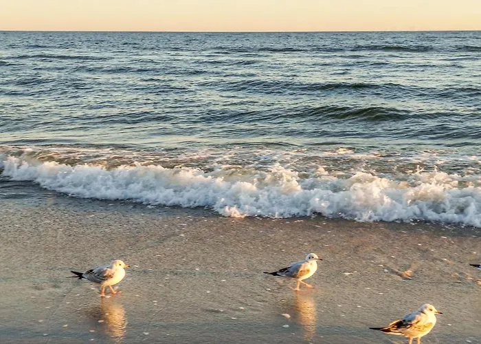 Amazing In Jezierzany